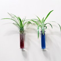 공간지애 행잉 벽걸이 수경식물 화분, 블루
