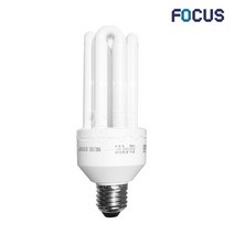 포커스 장미전구 삼파장 전구 30W E26, 전구색