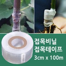 포에버 식물 접목테이프 원예용품 3cm X 100M, 1개