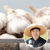 친환경팔도 황토밭 통마늘(대서마늘)대5kg, 5kg, 1개
