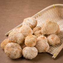 파워푸드 국산 노루궁뎅이 버섯 300g 노루댕이, 1407_국산노루궁뎅이 버섯 300g