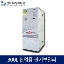 대성에너텍 축열식 전기보일러 산업용 300L, DBE-70