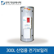 대성에너텍 산업용 축열식 전기보일러 300L, DBE-20C