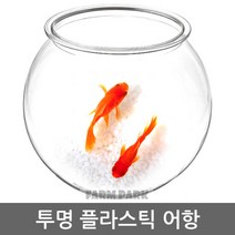 팜파크 투명 플라스틱 어항 (소) 수족관 미니어항