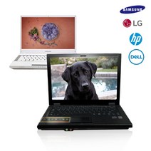 삼성 LG DELL 레노버 중고노트북, LG-Xnote-A410, Free Dos, 4GB, 250GB, 인텔