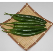 산들팜 롱그린고추, 1박스, 상품(비품)5kg
