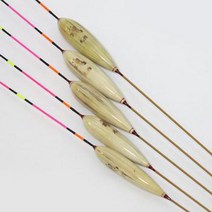 원용 뚱딴지 금란 순부력230%이상, 60cm
