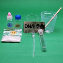 실험뚝딱 DNA추출 10인세트 과학실험, 10인용