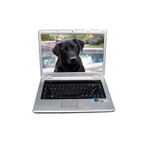 삼성 LG HP DELL TG삼보 레노버 중고노트북 초특가, 삼성센스R60/R510/P510