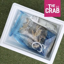 제철 여수 통영 활 돌문어 생물 문어, 1개, 2kg (얼음포장/1-8마리)
