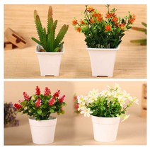 kapoo 조화 화분 1+1 화분세트 인테리어 꽃화분, 6.다육이 알로애 대