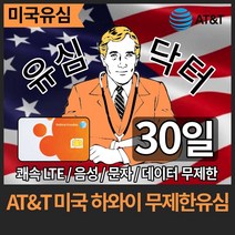 유심닥터 AT&T 미국 하와이 유심 데이터무제한 30일, 미국 하와이 데이터 무제한 유심(택배발송), 1매