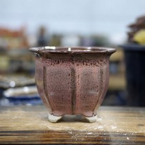 제이팟다육 8각 다육화분 진녹 예쁜 다육이 선인장 화분 미니 도자기화분