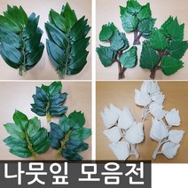 호가 나뭇잎 자작나무 스밀락스 마운틴, 마운틴잎