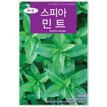 허브 스피아민트씨앗 2000립 허브씨앗, 1개