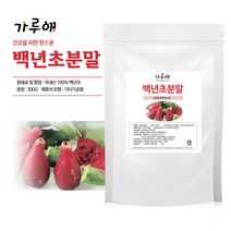가루애 백년초 분말 300g, 1개