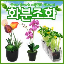 호가 화분조화 호접란 장미 인테리어 조화 화분 장식, 다육식물조화-은전(+2000원)