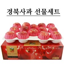 [실속선물세트] 경북 햇사과 5kg 선물세트 실속형, 1박스, 03.사과 선물세트 5kg 프리미엄 (10~12과내외)