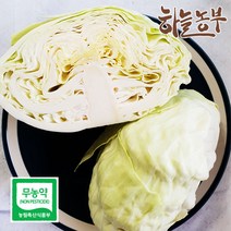하늘농부 친환경 양배추, 1개, 양배추(1kg 내외)