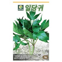 갑조네 민속특수 씨앗 모음, 일당귀(씨앗), 1개