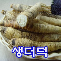 혜성푸드 생더덕 5kg, 1개