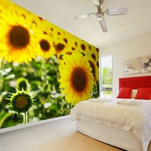 프렌체 맞춤제작 30가지 꽃디자인 UV프린팅 포인트벽지, 디자인16