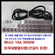 위너스 위너스-16A 3000W 알루미늄 멀티탭 단자대형 멀티텝 (선길이선택), 갈색, 2구9M