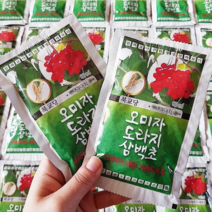 북교당한약방 오미자 도라지 삼백초 목맑음차, 30포, 80ml