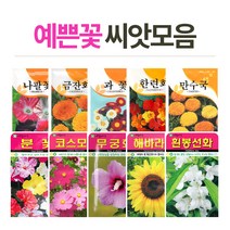 화분월드 고급 꽃씨, (고급꽃씨)금잔화50립