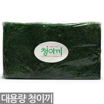 대용량 청이끼 - 이끼화분 화분이끼 이끼 테라리움, 한성_청이끼(대)