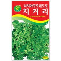 청농종묘 당근 씨앗 3000립 - 채소씨앗 당근씨 당근씨앗, 04_치커리(1500립)