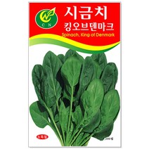 청농종묘 당근 씨앗 3000립 - 채소씨앗 당근씨 당근씨앗, 16_시금치킹오브덴마크(1300립)