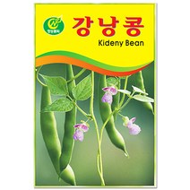 아욱 씨앗 4000립 / 채소씨앗 아욱씨 아욱씨앗, 17_강낭콩(20g)
