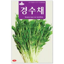 청농종묘 적환20일무 씨앗 600립 - 붉은무 빨간무 래디시 씨, 25_경수채(15g)