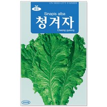 청농종묘 여주 씨앗 10립 여주씨 여주씨앗 씨 식물여주, 04_청겨자(2000립)