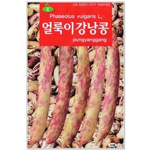 청농종묘 애호박 씨앗 20립 애호박씨앗 애호박씨 호박씨앗 씨, 28_얼룩이강낭콩(70립)