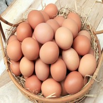 맛있는 구운계란 30구, 1개