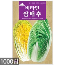 청농종묘 노랑배추 씨앗 1000립 배추씨앗 배추씨 씨 노랑배추씨앗 노랑배추씨, 02_비타민쌈배추(1000립)