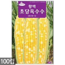 청옥 맷돌호박 씨앗 20립 / 호박씨앗 호박씨 늙은호박 멧돌호박, 14_황백초당옥수수(100립)