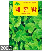 챠빌 씨앗 500립 / 허브씨앗 챠빌씨앗 허브씨 챠빌씨 처빌 허브 향신료, 03_허브_레몬밤(200립)