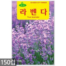 챠빌 씨앗 500립 / 허브씨앗 챠빌씨앗 허브씨 챠빌씨 처빌 허브 향신료, 02_허브_라벤다(150립)