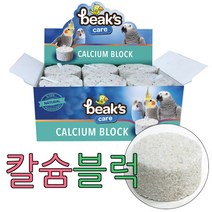빅스 케어 칼슘 그릿 블럭 앵무새 다람쥐 영양제 용품, 빅스케어 칼슘블럭 1P(비닐팩포장), 1개