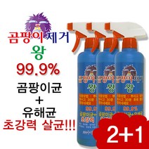 수정산업 초강력 곰팡이제거왕 2+1, 1개
