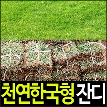 한국협화 잔디 비료 20kg 대용량 골프장 공원 정원 산소 들잔디 뿌리촉진 영양제