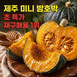 제주미니밤호박 보우짱, 단호박, 산지직송, 고당도