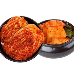 [제주 용암해수] 포기김치 5kg + 총각김치 5kg (국내산 100%)