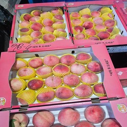[출시특가] 햇수확 백도 딱딱이 복숭아 아삭꿀맛