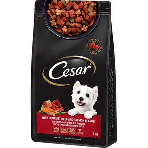 시저 어덜트 강아지 건식사료