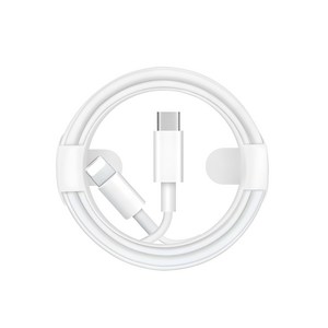 이츠라이프 C타입 PD TO 라이트닝 8핀 18W 고속 충전 케이블