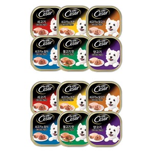 시저 1세 이상 강아지 버라이어티팩 주식캔
